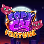 Copy Cat Fortune